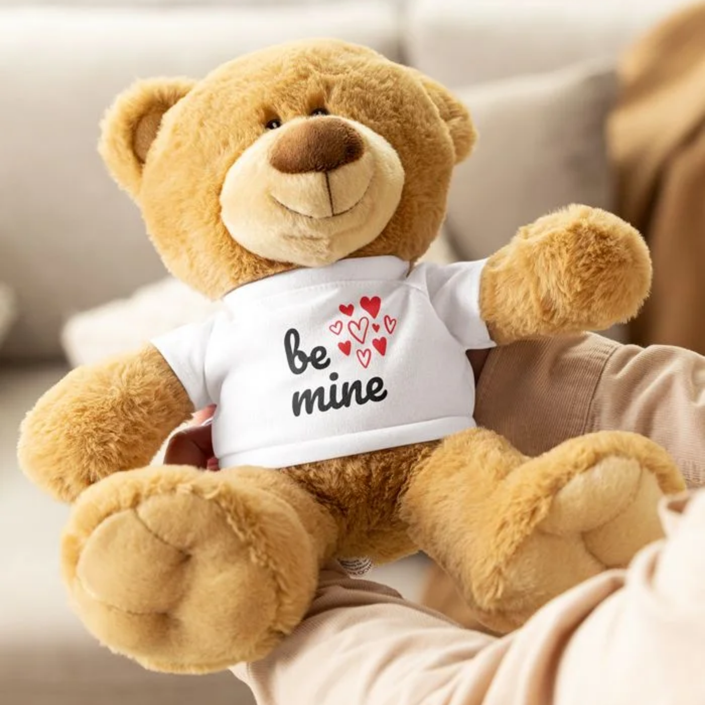 Custom Teddy Bear with a T-shirt