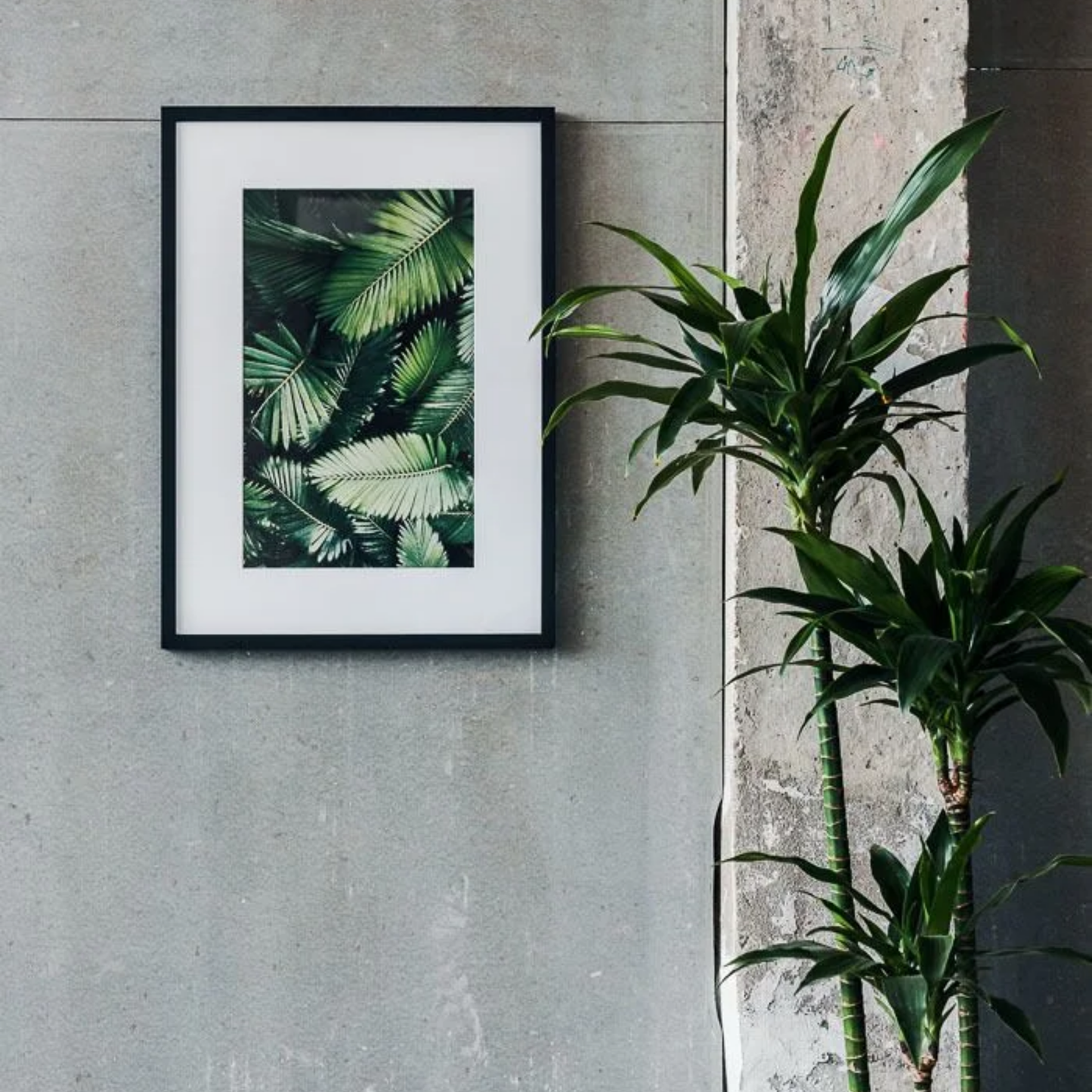 Custom Matte Paper Framed Poster With Mat (cm)