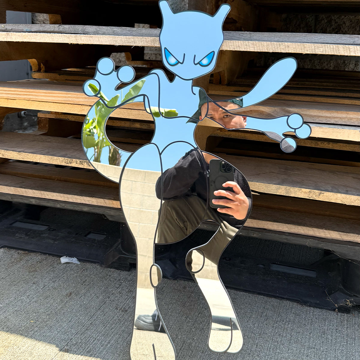 Mewror Mirror 22"