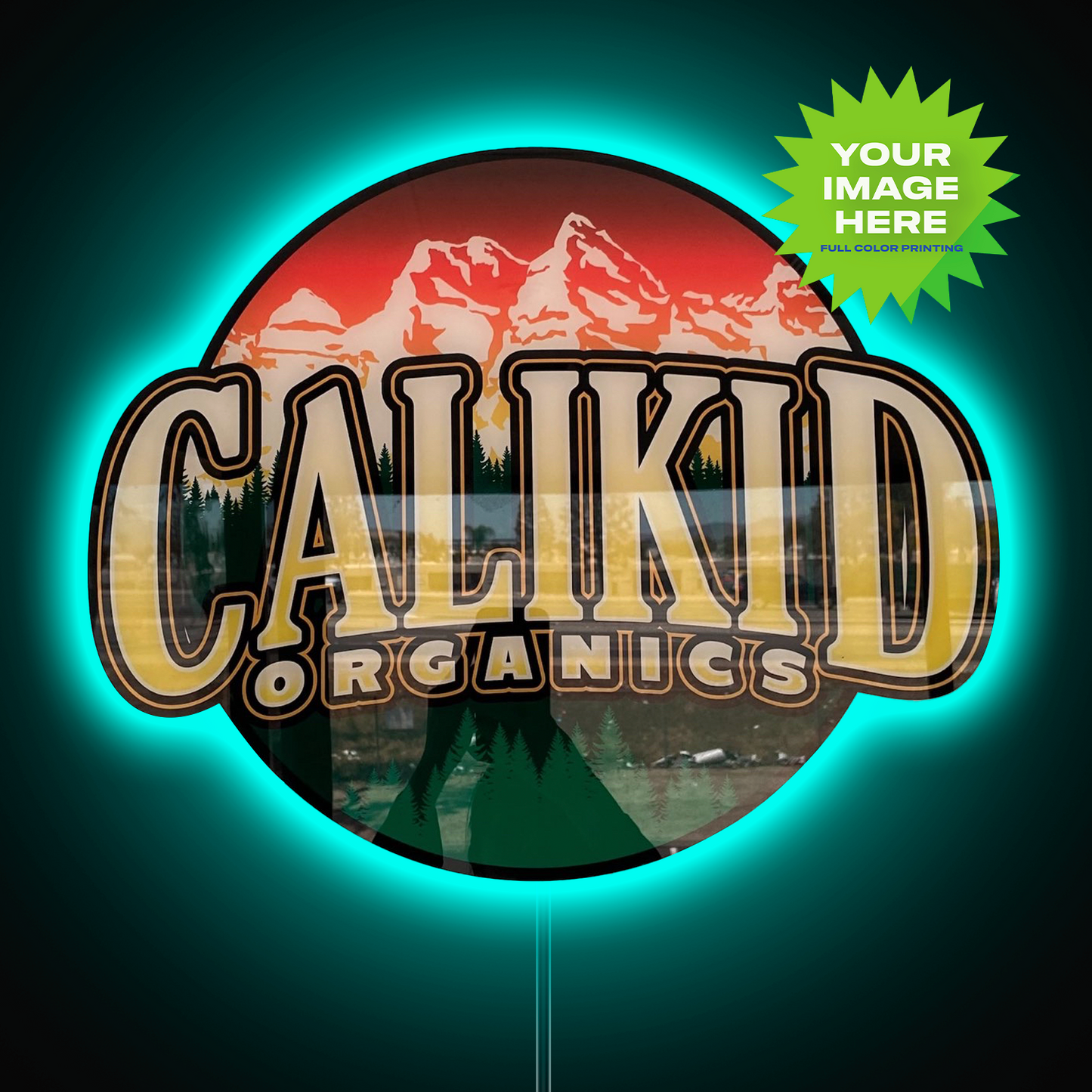 MOODTRAYS ™ Custom Logo Gloss LED Backlit Wall Art Sign 16"x24" or 30"x40" (Gloss Acrylic)