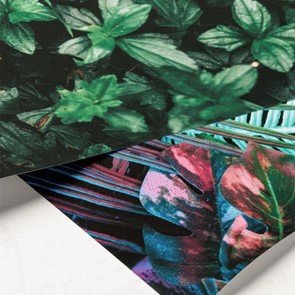 Custom Enhanced Matte Paper Poster (cm)