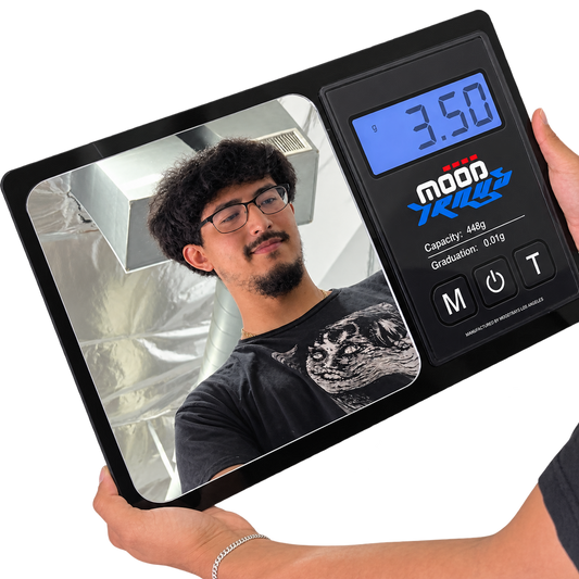 Scale Mirror 24”