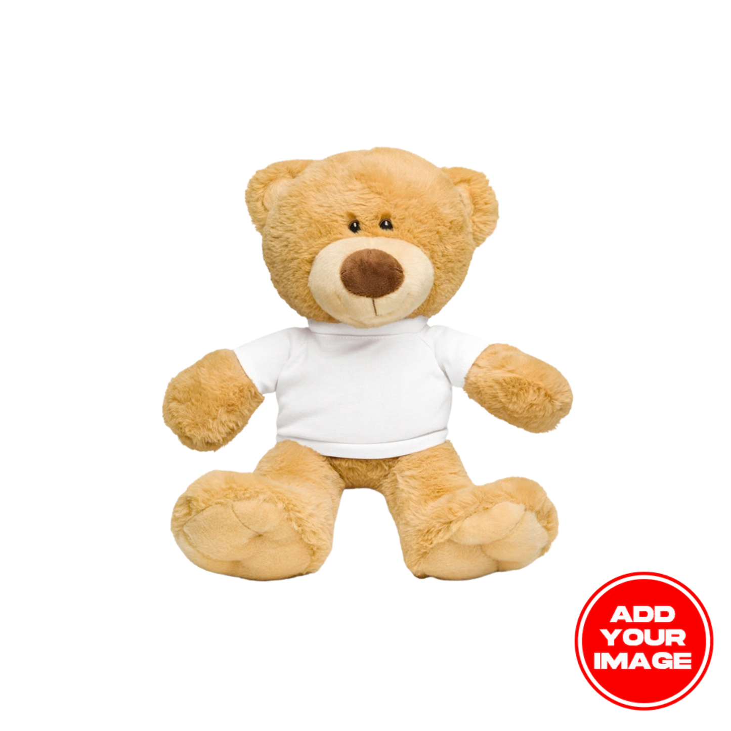 Custom Teddy Bear with a T-shirt