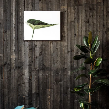 Custom Canvas (in)