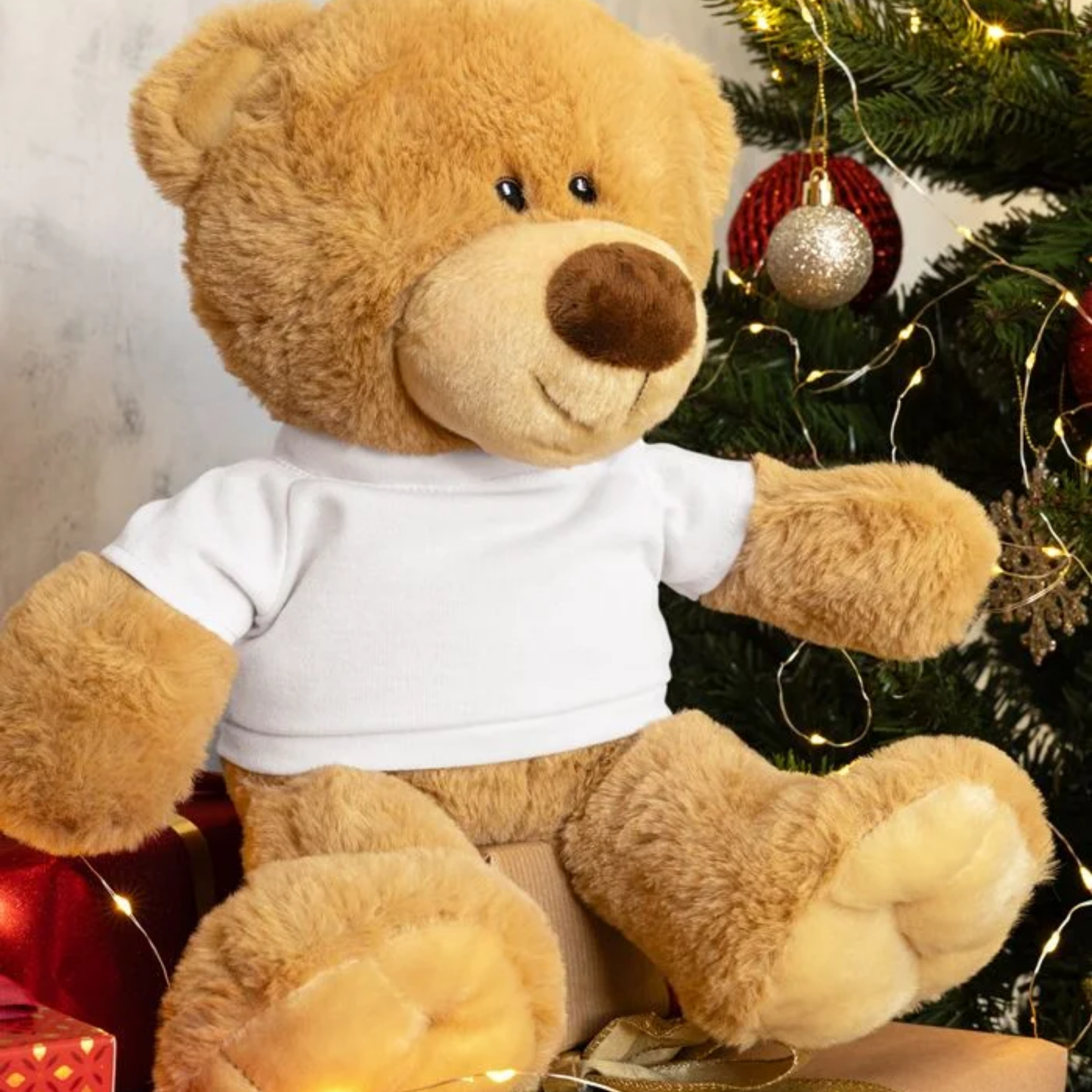 Custom Teddy Bear with a T-shirt