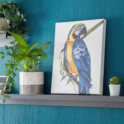 Custom Canvas (in)