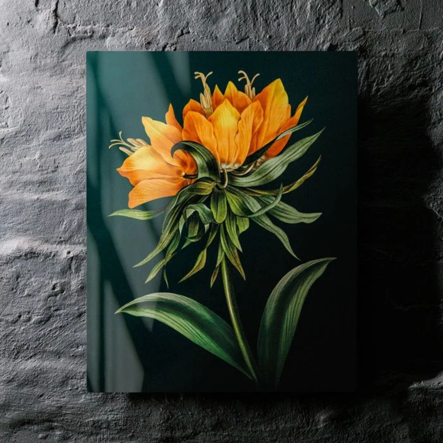Custom Glossy Metal Print