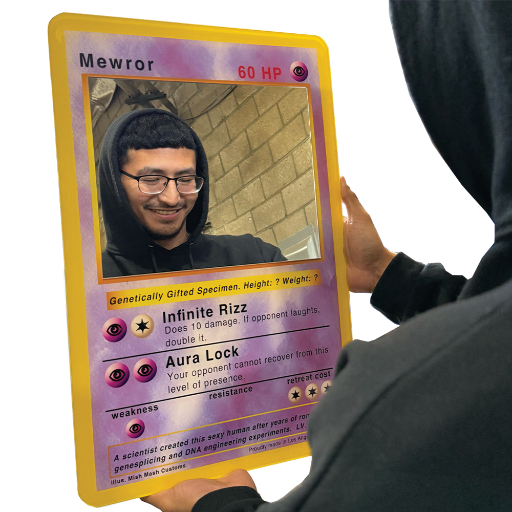 Mewror Poke Mirror 24"