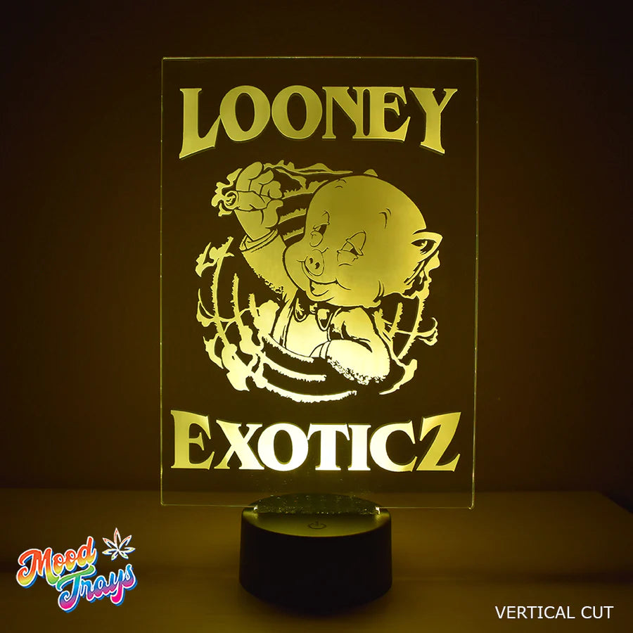 (12 PACK) Custom LED Lamp Sign Night Light